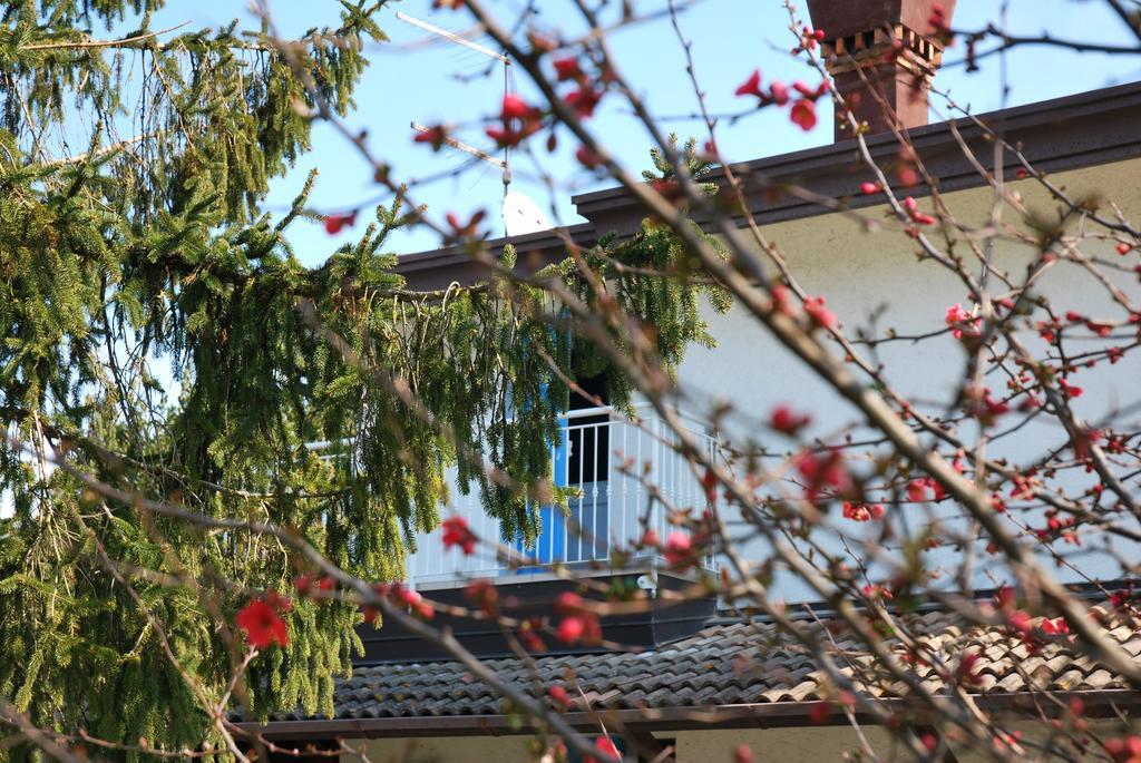 Villa Roma Holidays 耶索洛 外观 照片